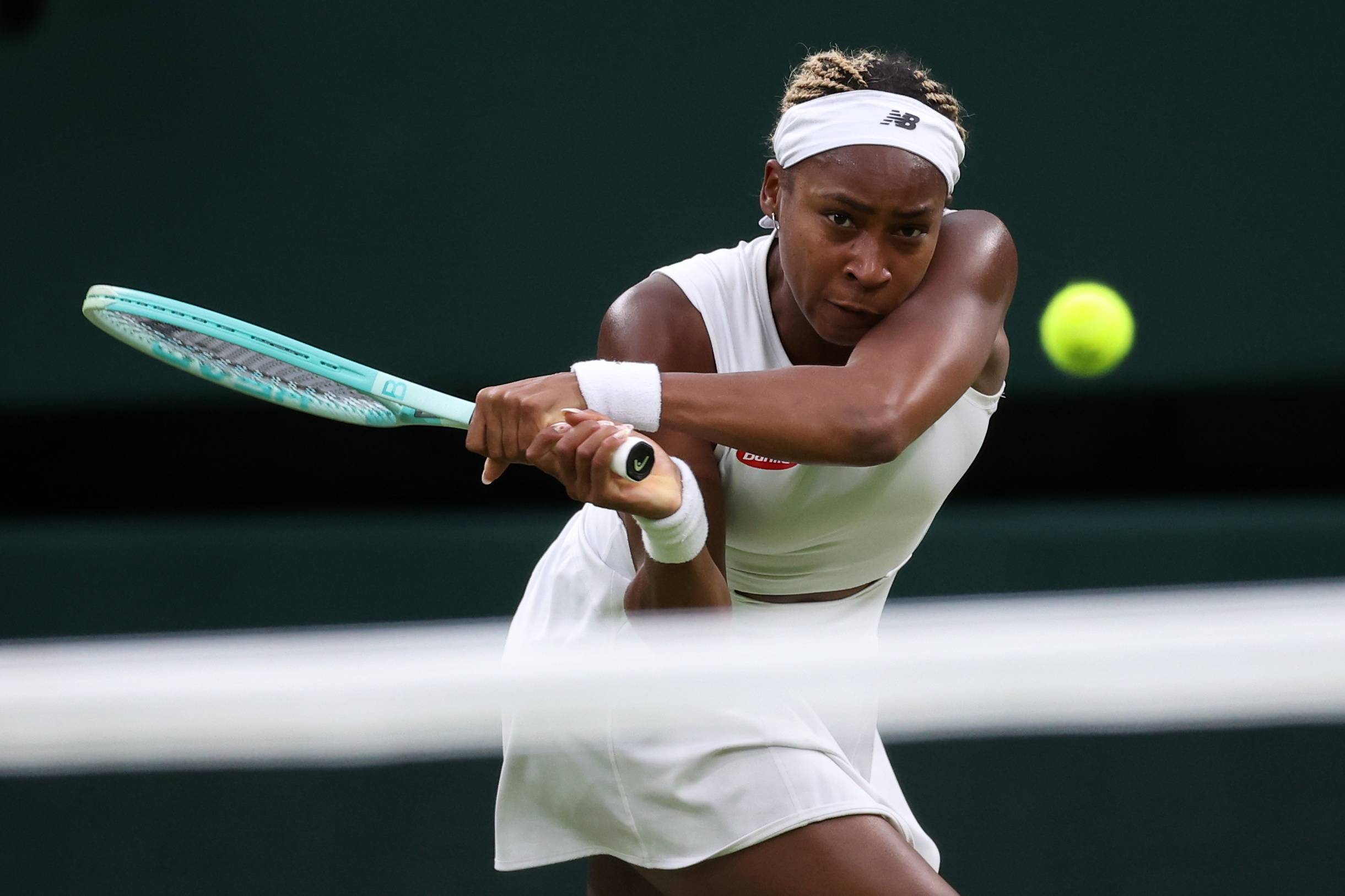 家迎来了状 家迎来了状