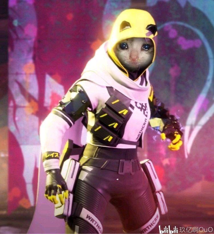 竞标方数量 竞标方数量